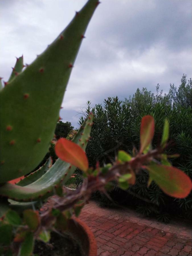 Casa Vacanza Rosariomaria 雷阿尔蒙特 外观 照片